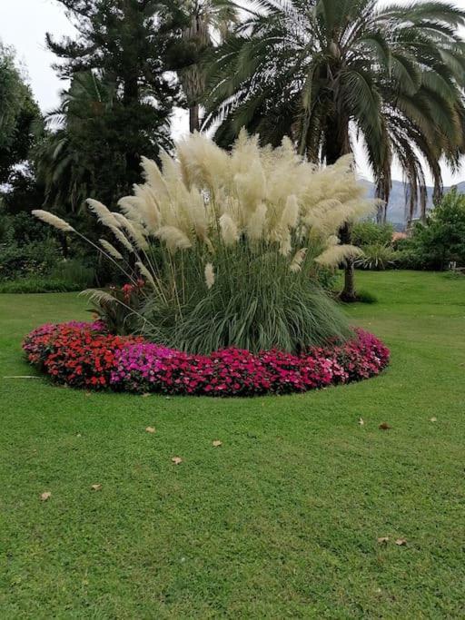 Imperial Palace Bord De Mer Menton Ngoại thất bức ảnh
